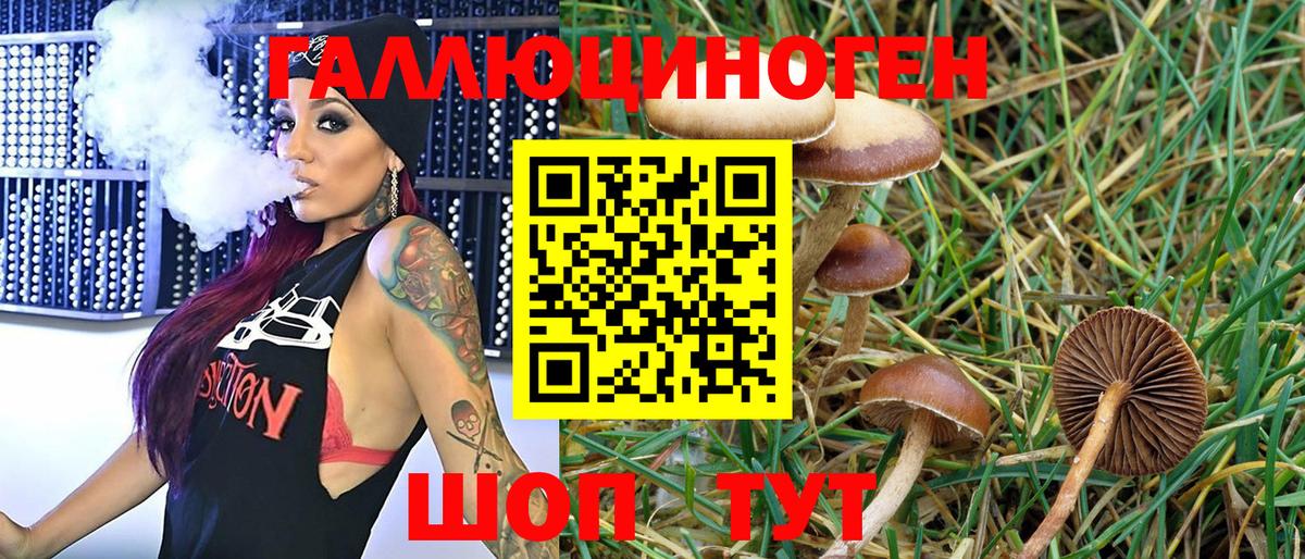 Ахтубинск  Галлюциногенные грибы GOLDEN TEACHER  Псилоцибиновые грибы Psilocybe  Вход с VPN 