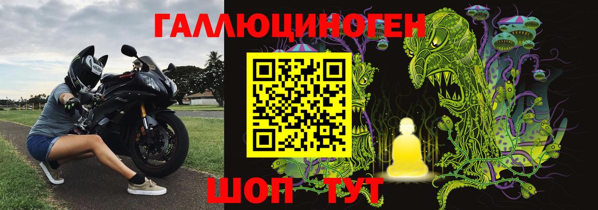 Галлюциногенные грибы Psilocybe Ахтубинск